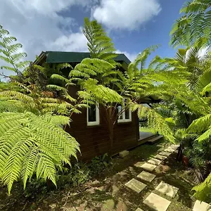 bungalow-a-flanc-de-colline.comcaribbean.com/